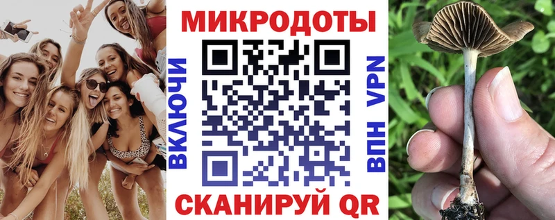блэк спрут онион даркнет сайт Ростов Псилоцибиновые грибы ЛСД
