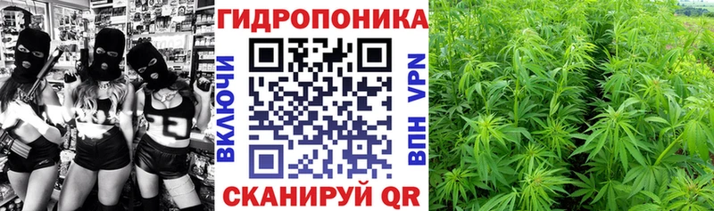 Каннабис конопля  хочу   сайты даркнета состав  Ростов 